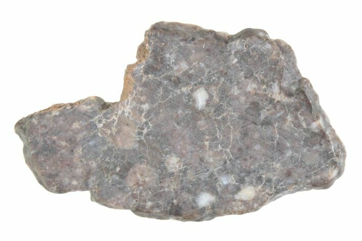 Lunar Meteorite ( g) Slice - Laayoune #381688